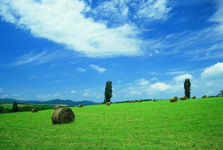 草地赛季遭遇极端天气,多场比赛被迫延期举行 草地赛季遭遇极端天气,多场比赛被迫延期举行