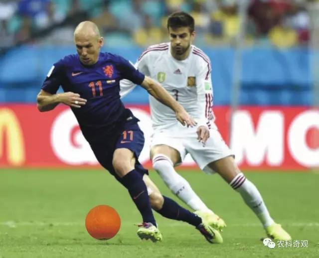  草根足球遍地开花，全民参与热情高涨